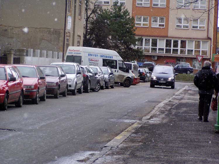 P1010024m.jpg